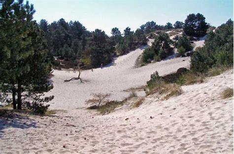 Holiday home 'de Groene Parel' Schoorl