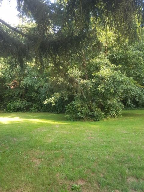 'de Groene Parel' *