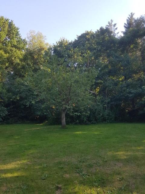'de Groene Parel' Holiday home Schoorl