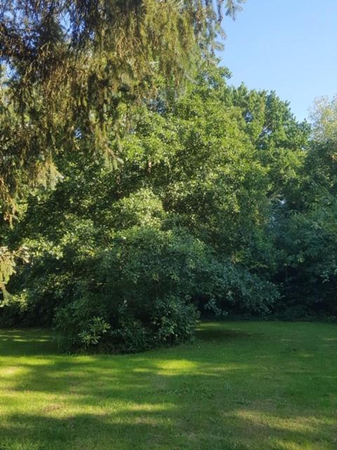 Holiday home 'de Groene Parel' Schoorl
